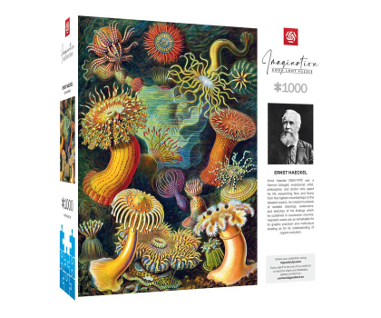 Puzzle GOOD LOOT Ernst Haeckel: Stworzenia morskie Puzzle 1000